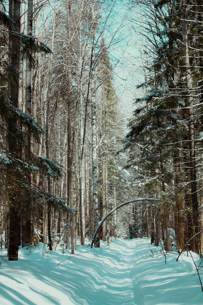 Photograph by Любовь Иванова