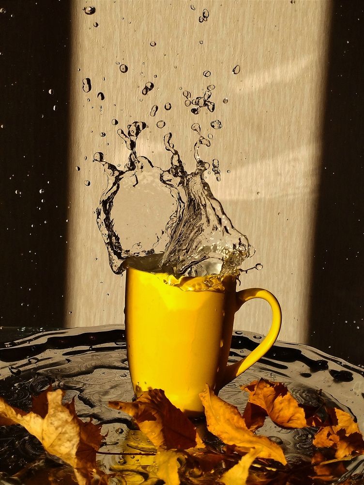 Фотография автора Ия Дирко