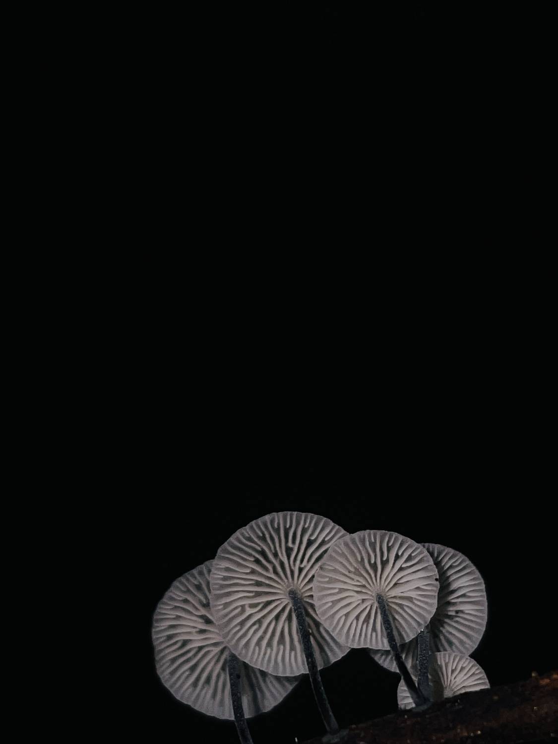 Фотография #11214654
