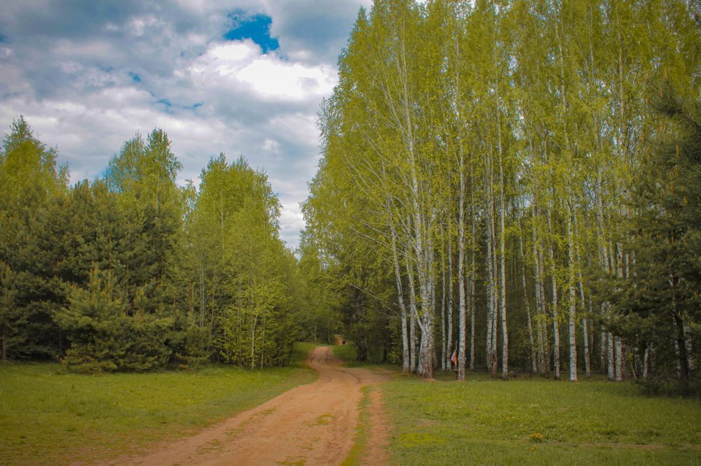 Photograph by Любовь Иванова