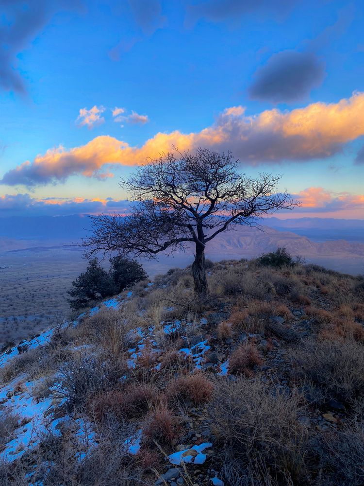 Photograph by Adnan Taaj Baloch