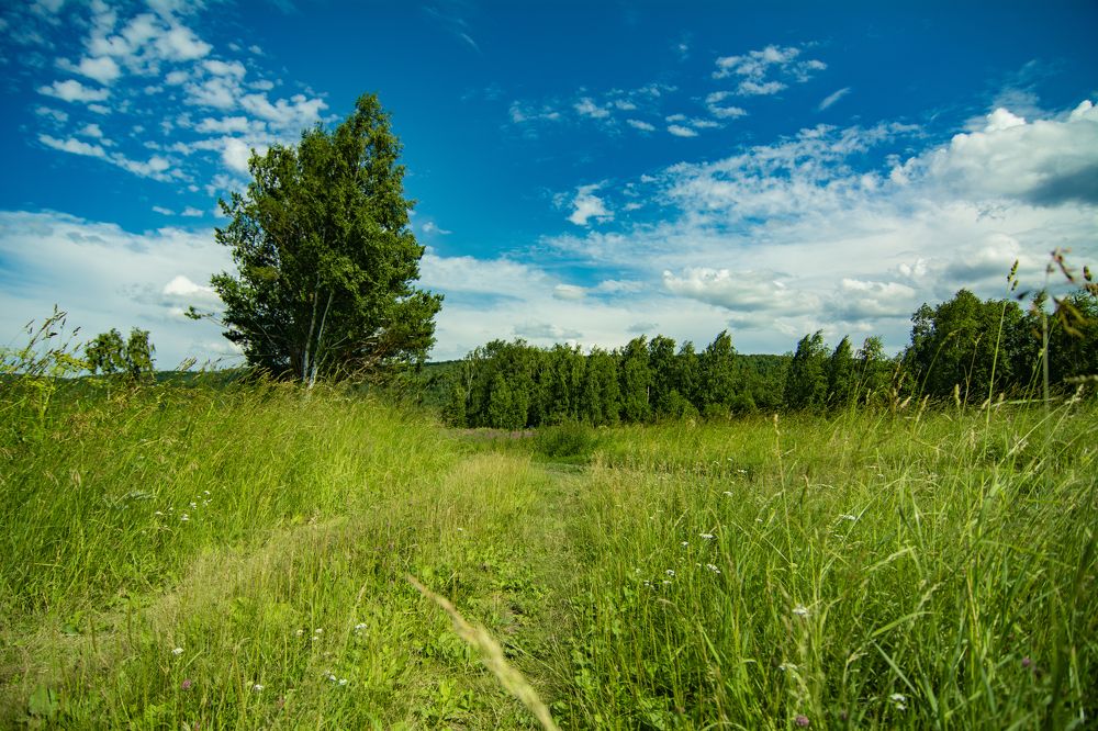 Photograph by Евгений Авдеев