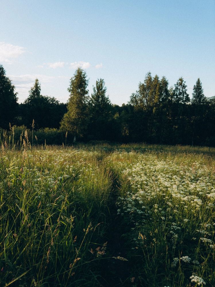 Photograph by Алиса Нежинская