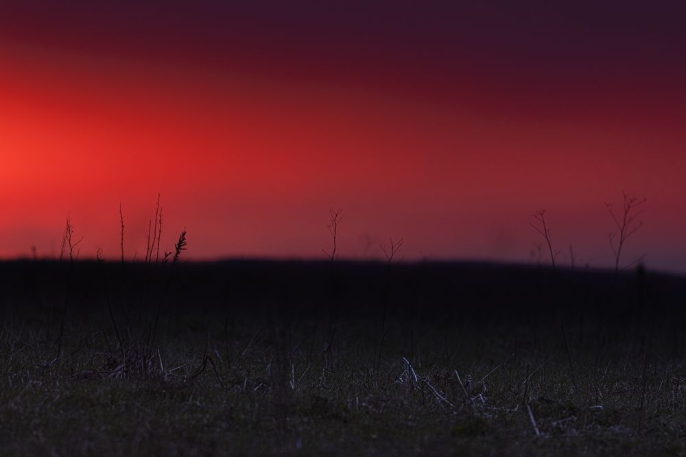 Photograph by Алексей Широбоков