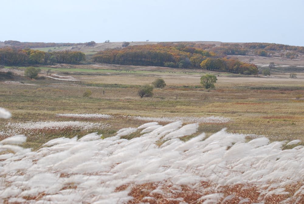 Photograph by Оксана Трофименко