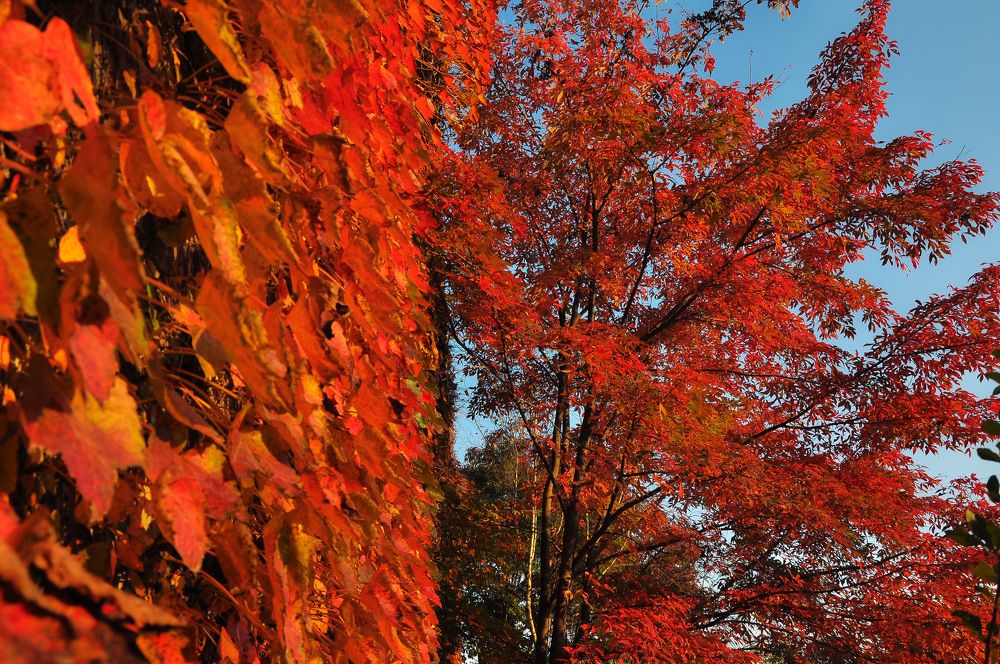 Фотография автора Алексей Кумпан