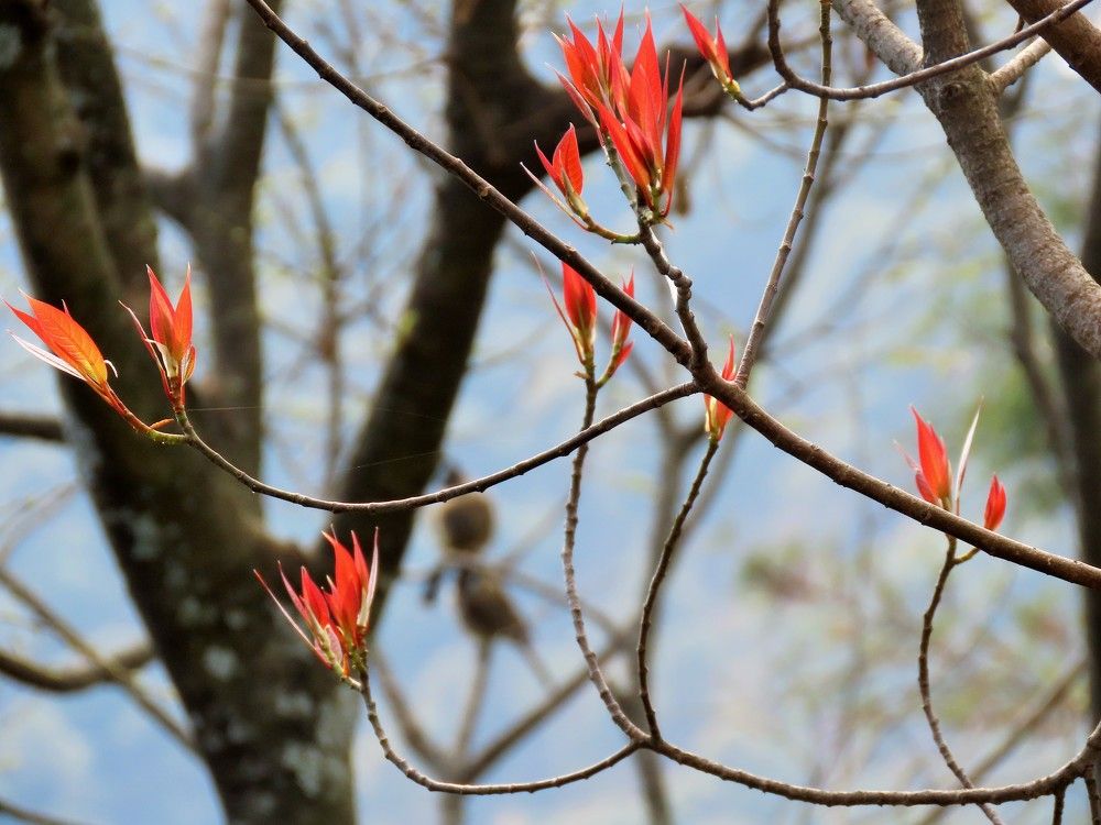 Photograph by Светлана Башаева