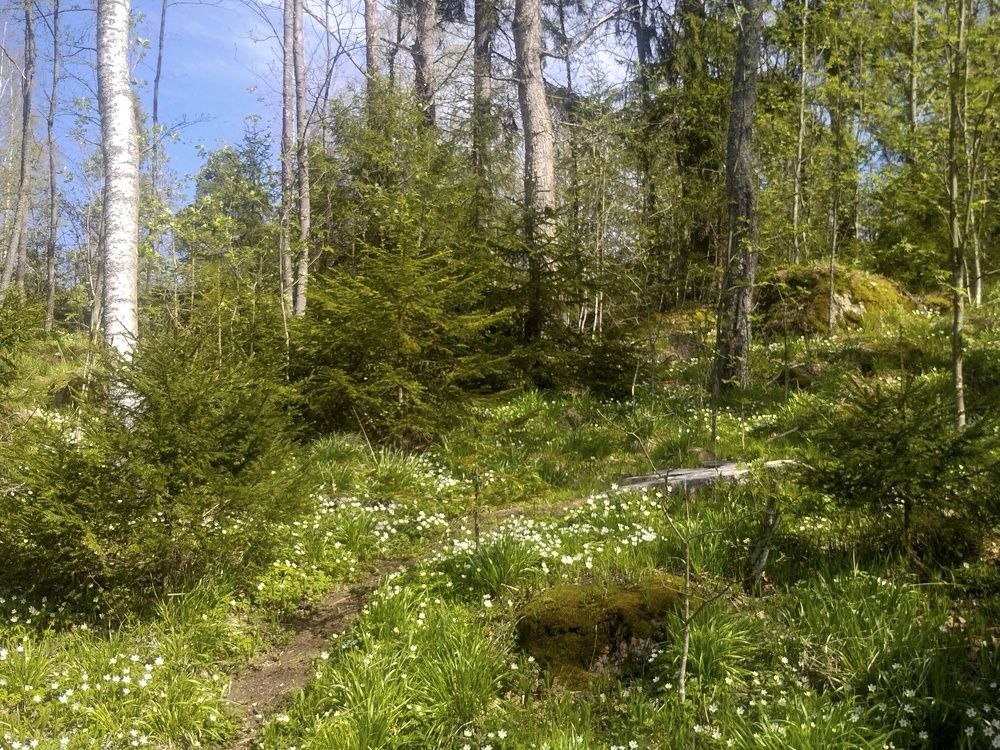 Photograph by Sergey Kurkov-Tarkovsky