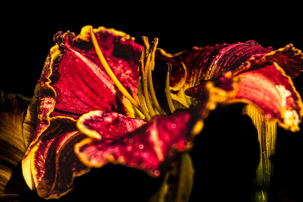 Photograph by Алексей Широбоков