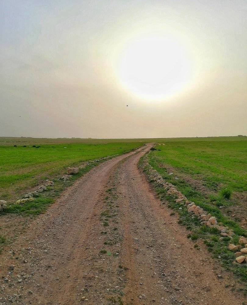 Photograph by Azzeddine Memmou