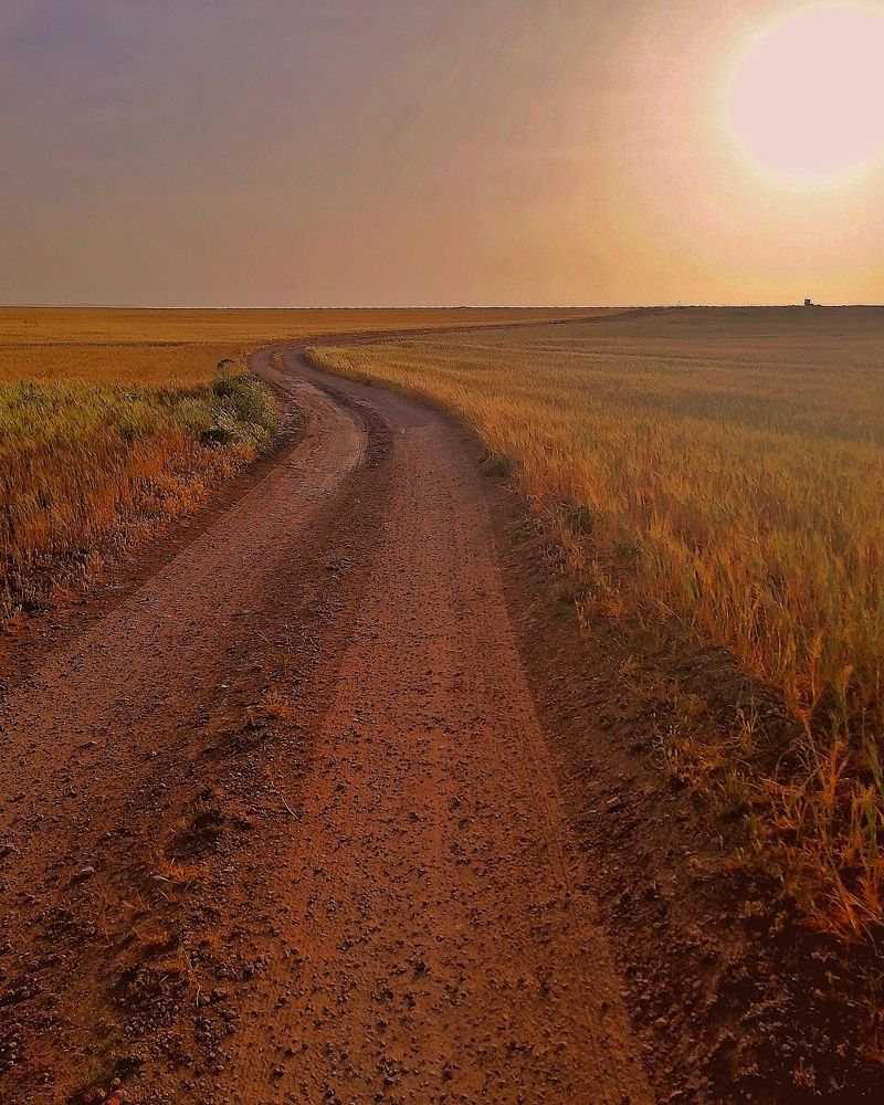 Photograph by Azzeddine Memmou