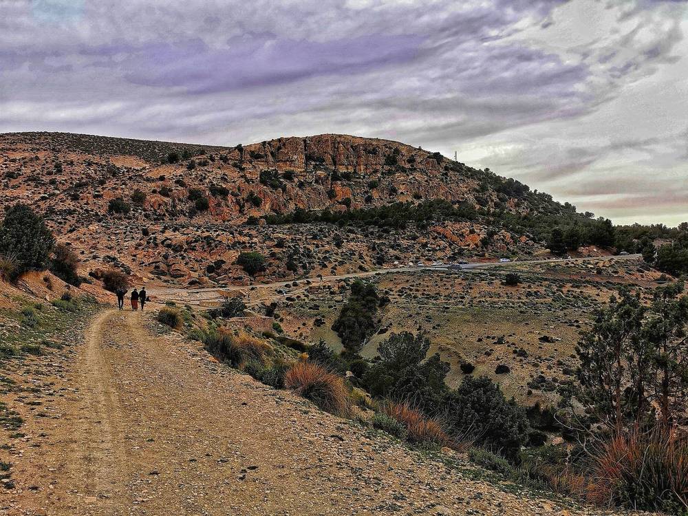 Photograph by Azzeddine Memmou