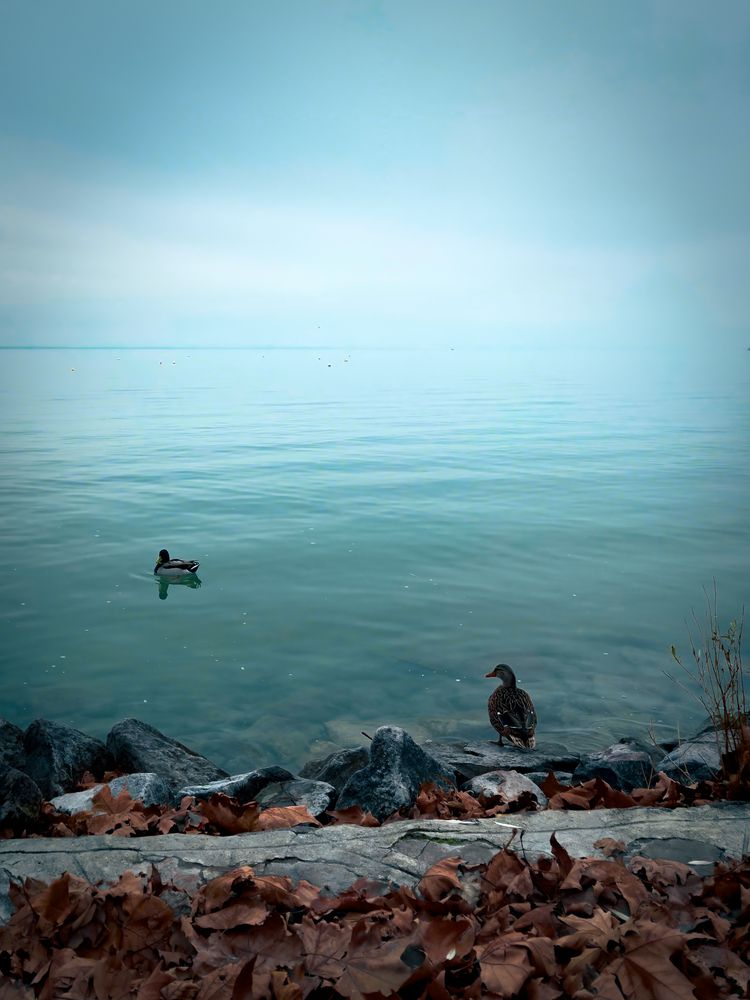 Photograph by Tarsila rossi