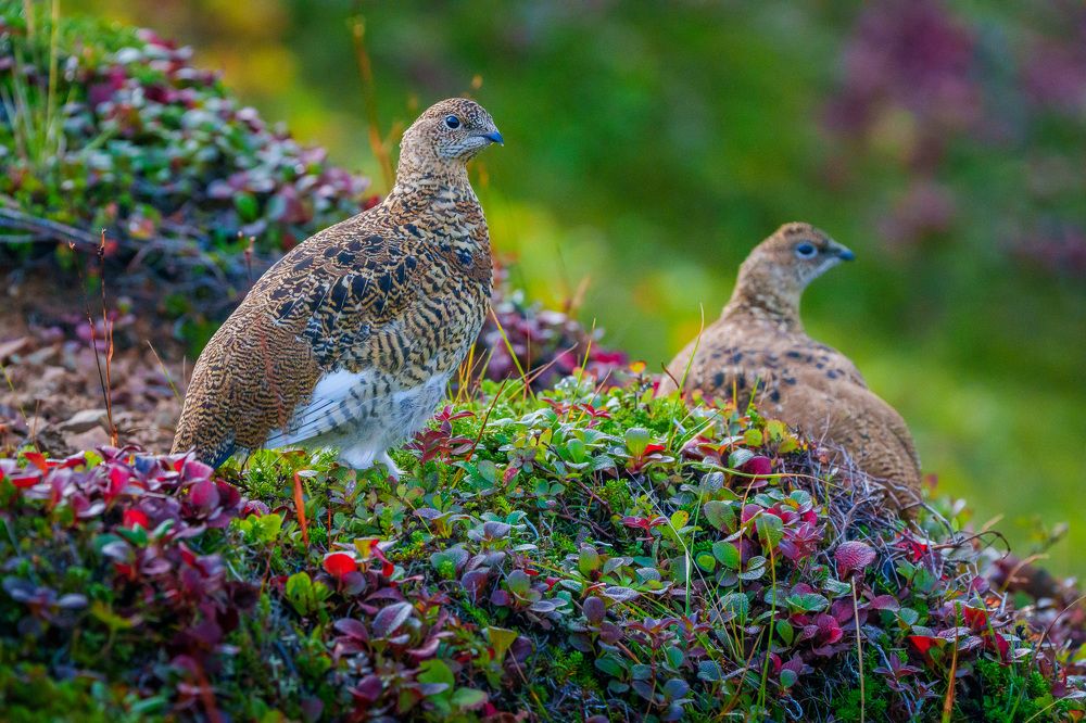 Photograph by Труханов Илья