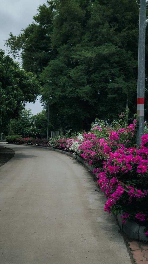 Photograph by Dhruv Mistry