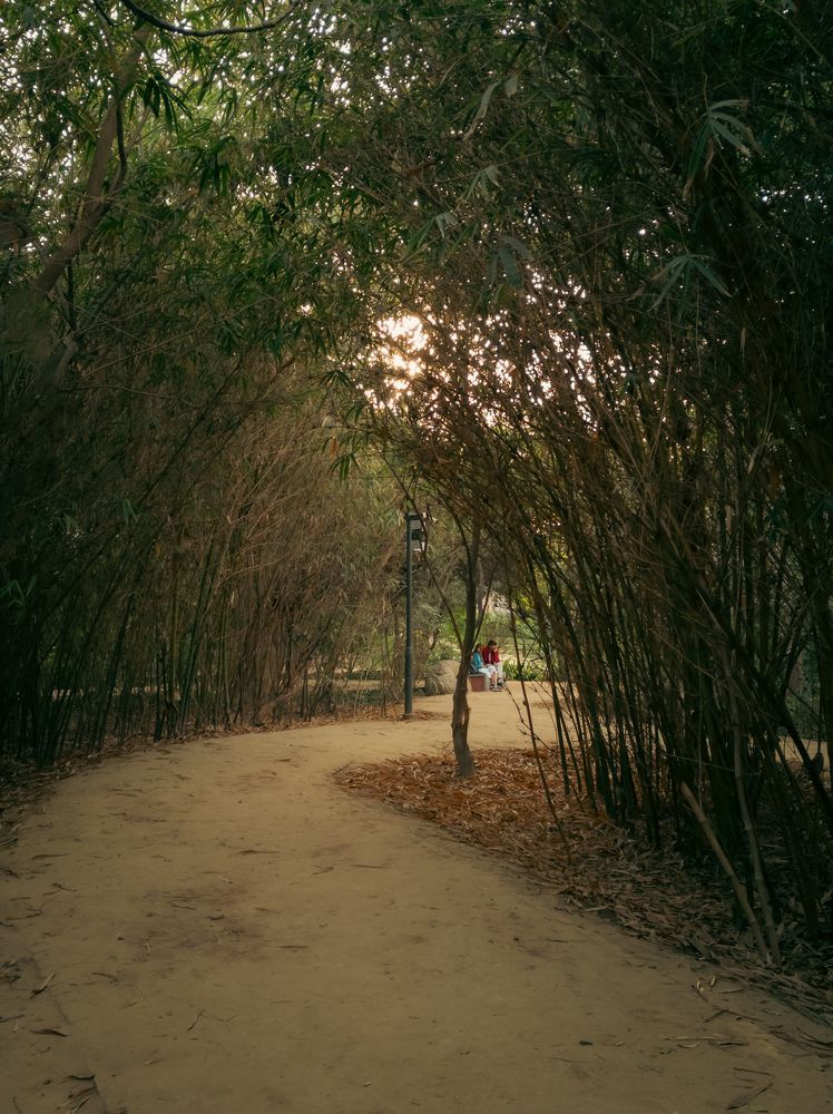 Photograph by Dhruv Mistry