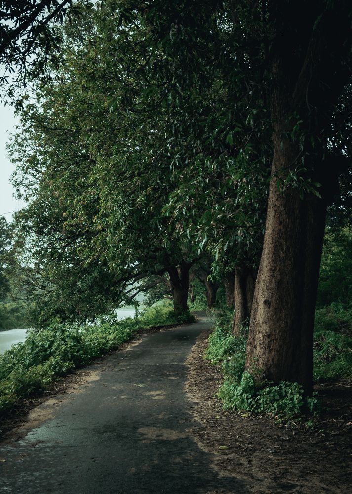 Photograph by Dhruv Mistry