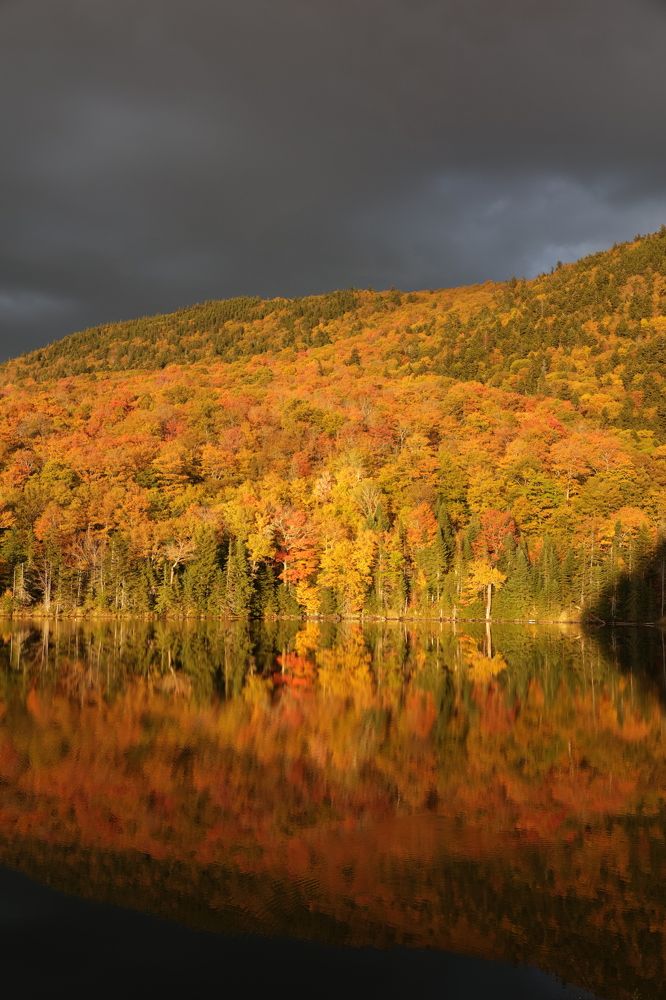 Photograph by Tatiana Serova