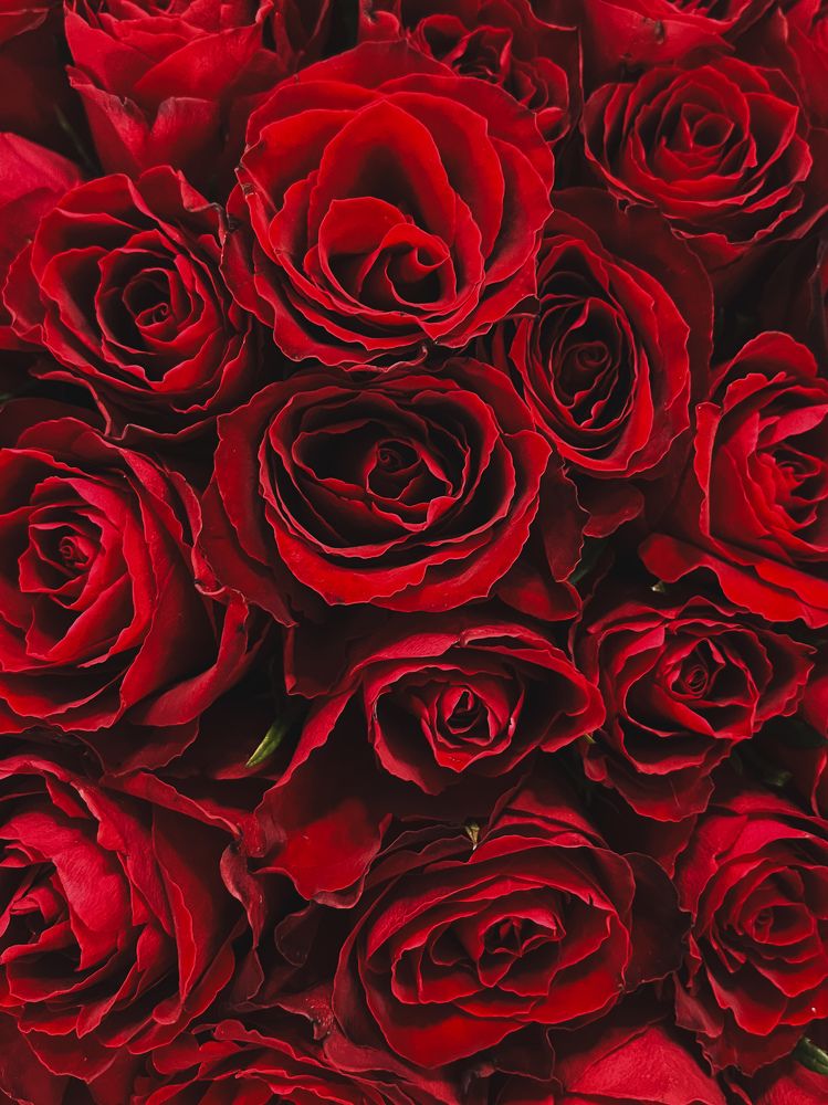 Photograph by Анна