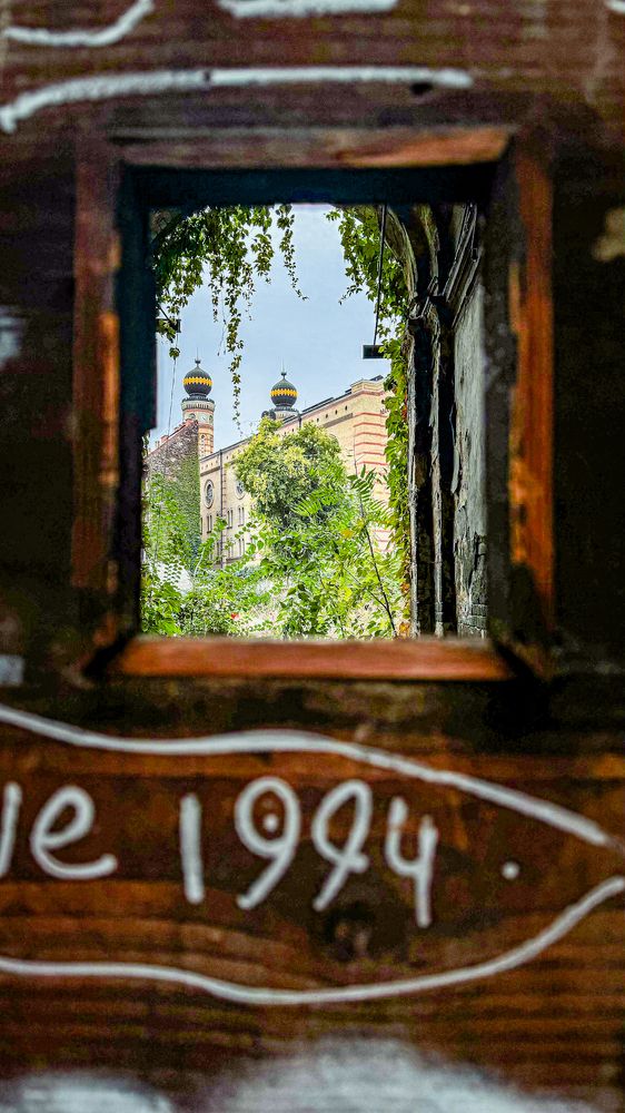 Photograph by Tarsila rossi