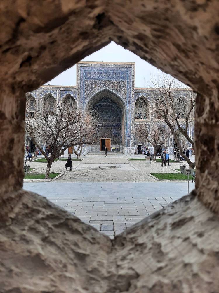 Фотография автора Елена Пикатова