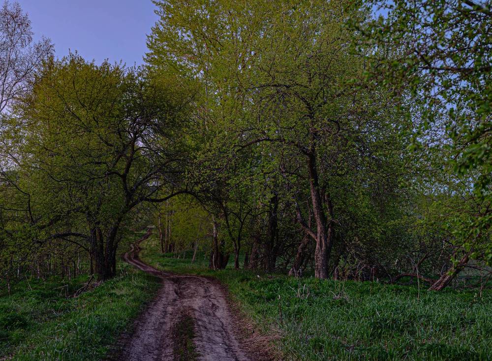 Photograph by Алексей Широбоков