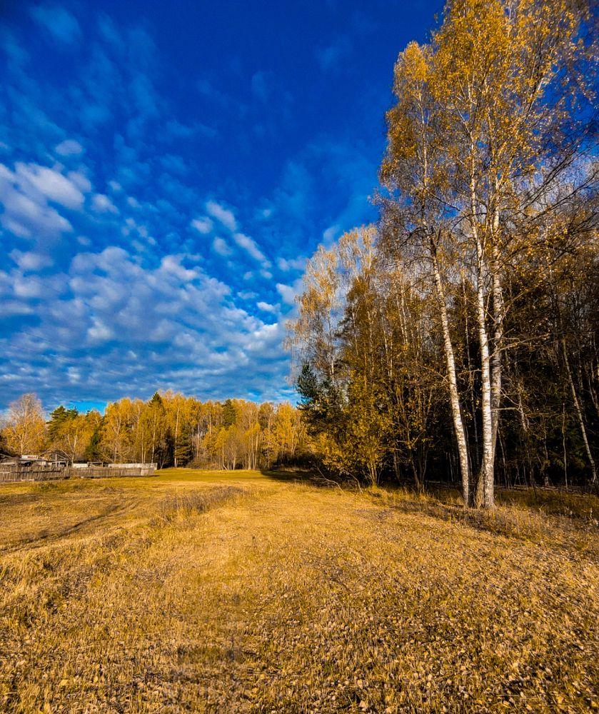 Photograph by Алексей Горин