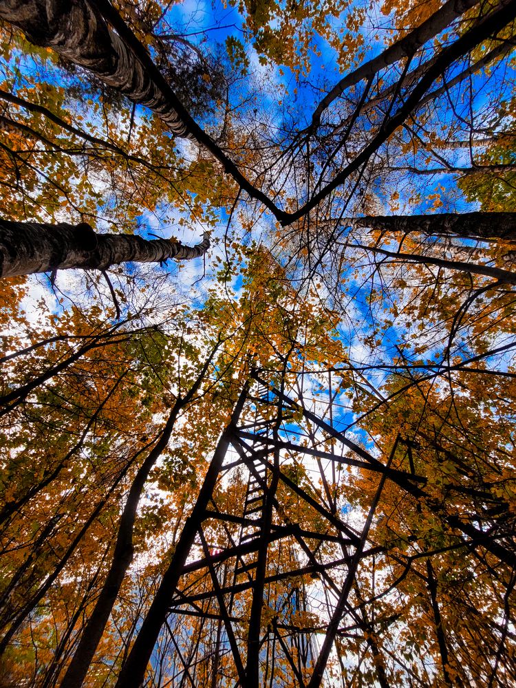 Photograph by Алексей Горин