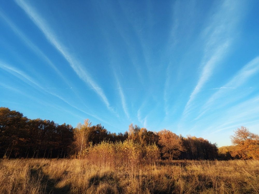 Photograph by Екатерина Чижевская
