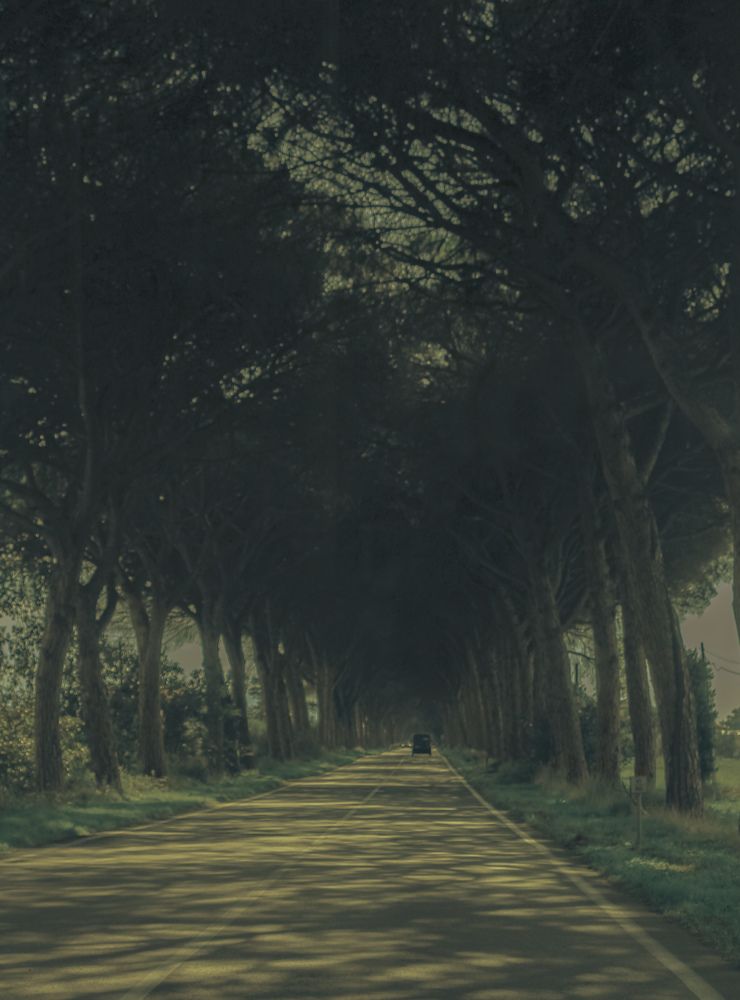 Photograph by Iryna Shyshkina