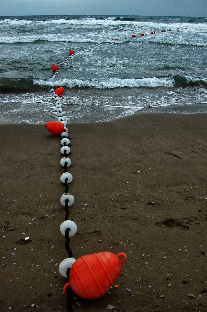 Photograph by Muzaffer Sütlüoğlu