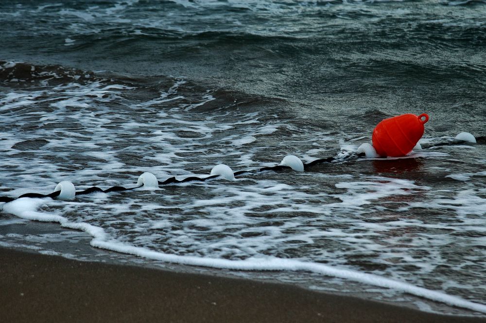 Photograph by Muzaffer Sütlüoğlu