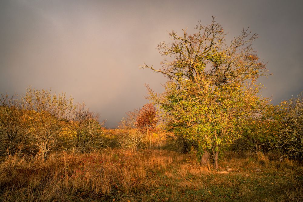 Photograph by Юрий Гаврилов