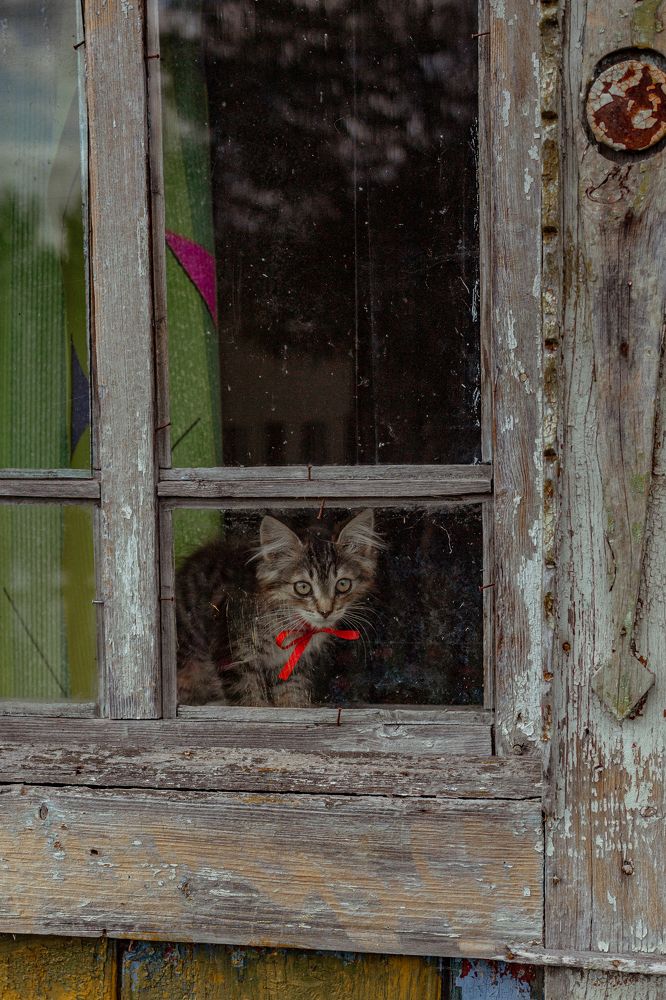 Photograph by Юлия Афонина