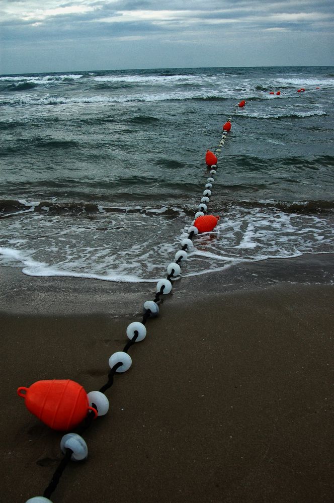 Photograph by Muzaffer Sütlüoğlu