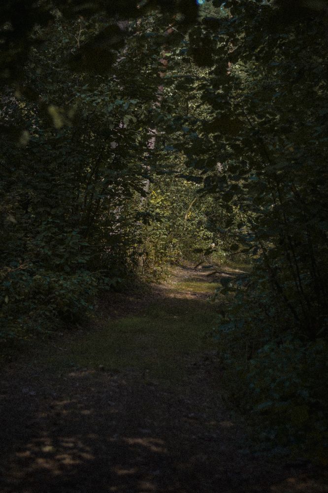 Фотография автора Ксения Вабищевич