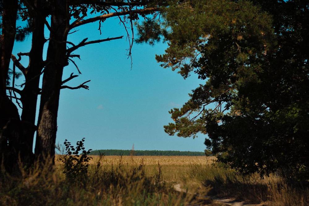 Фотография автора Ксения Вабищевич