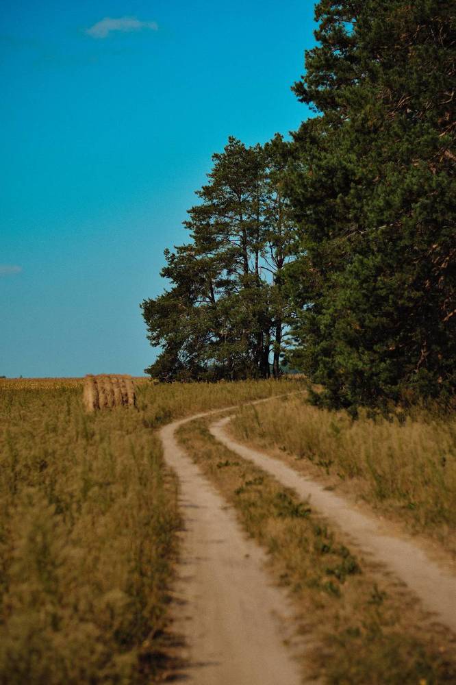 Фотография автора Ксения Вабищевич