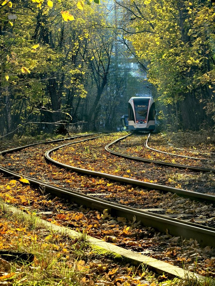 Photograph by Анна Епанчинцева