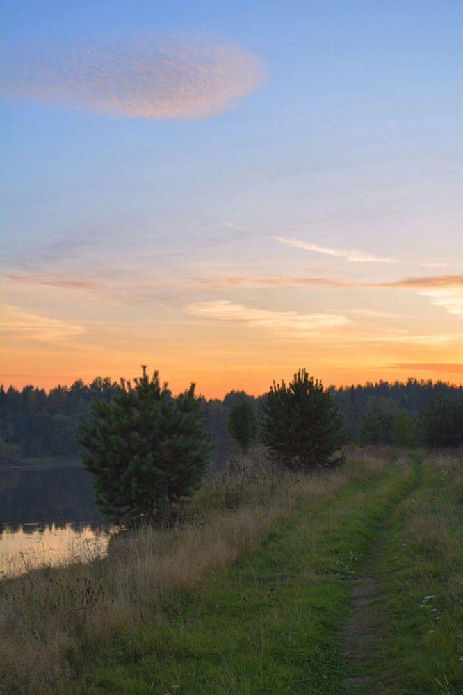 Photograph by София Бояринцева