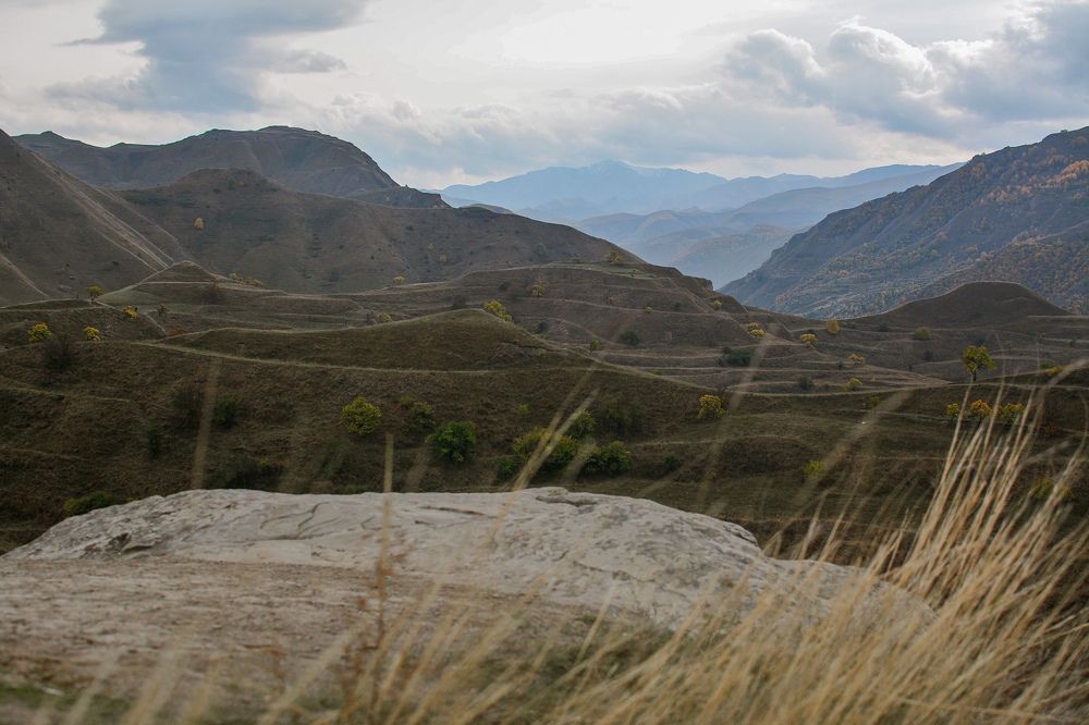 Photograph by Ирина Кучеренко