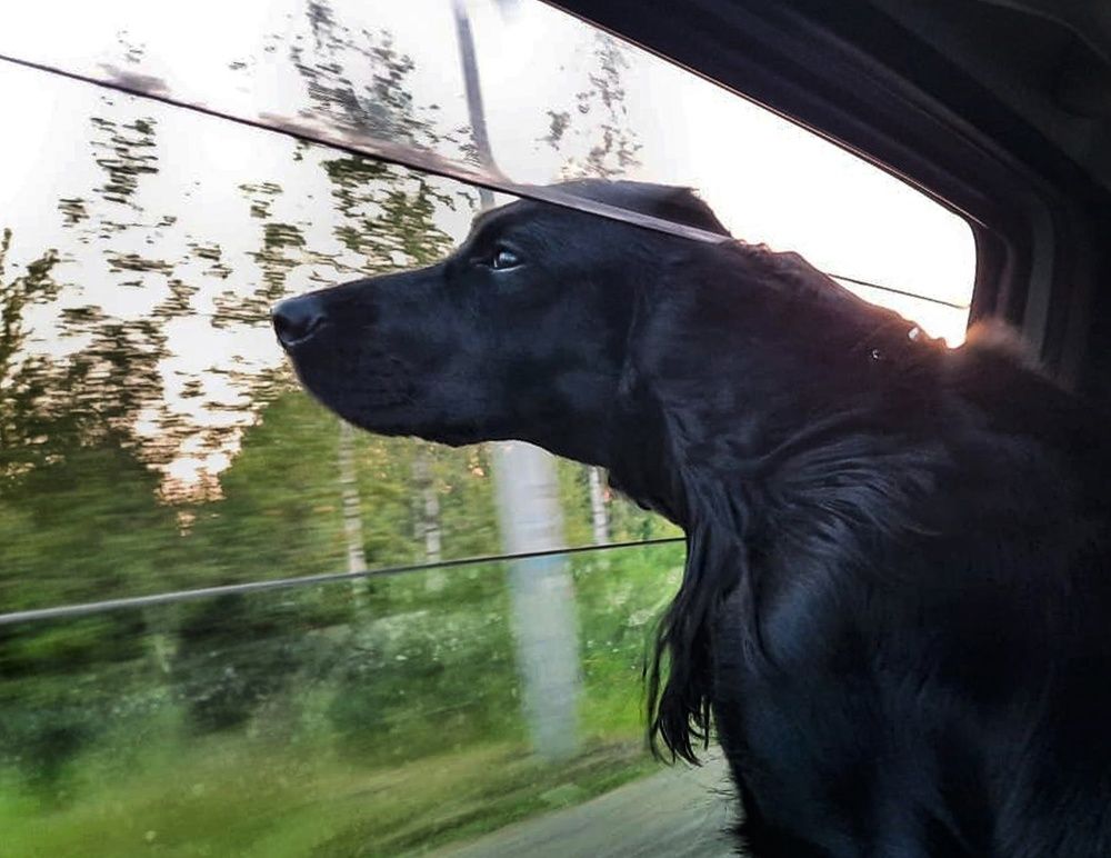 Photograph by Татьяна Луговская