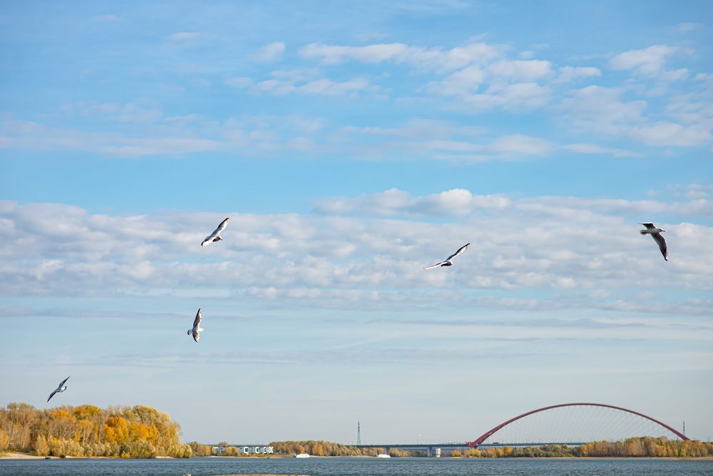 Photograph by Татьяна Шаркеева