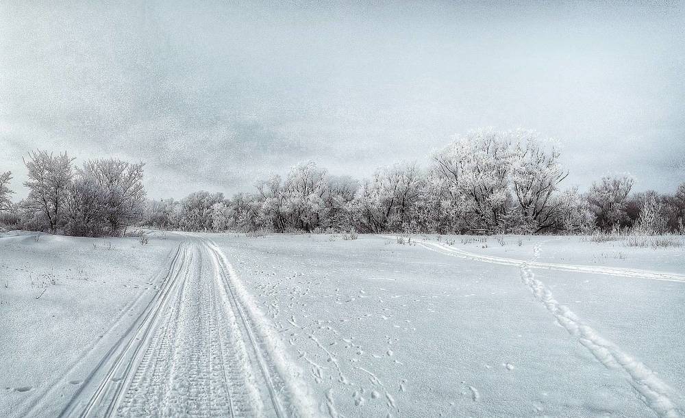 Photograph by Марина Мальцева