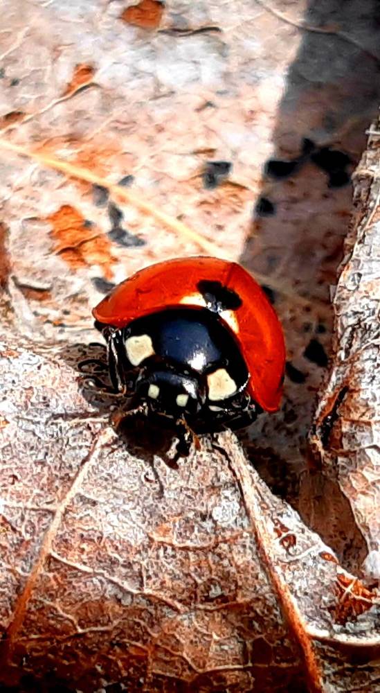 Photograph by Екатерина