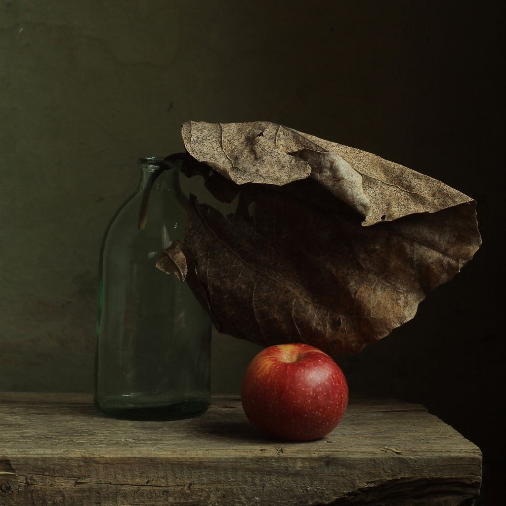 Photograph by Евсеева Валентина