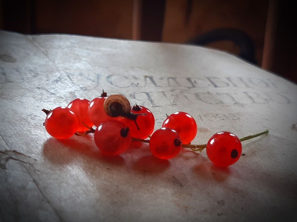 Photograph by Екатерина