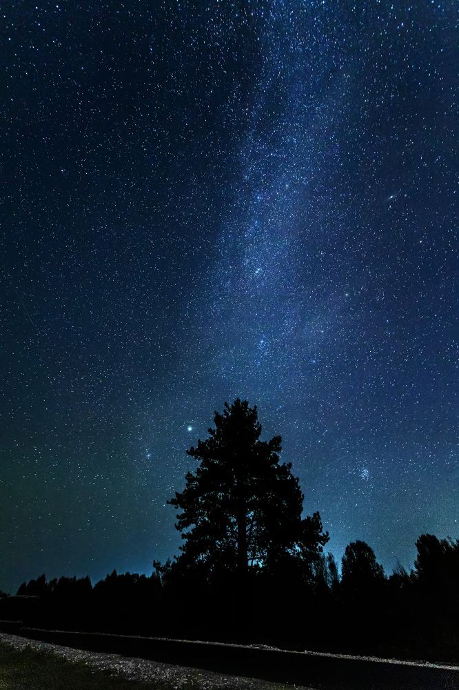 Photograph by Сергей Кочетов