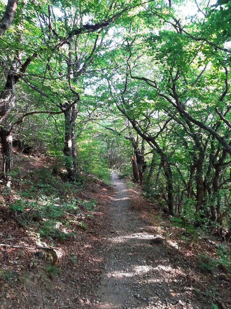 Photograph by Галина Глазкова