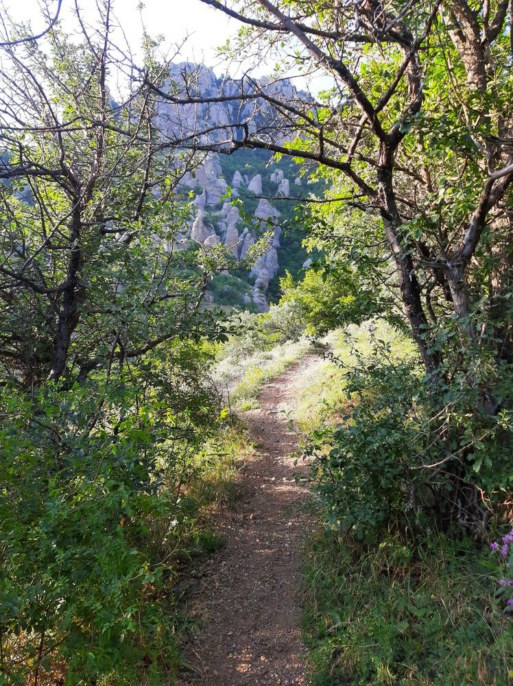 Photograph by Галина Глазкова